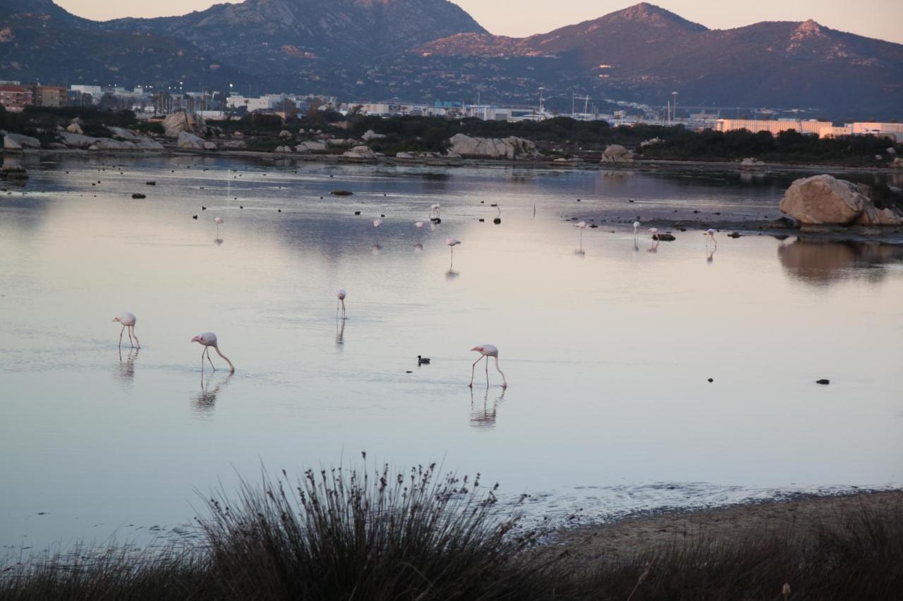 Magibac Due - Casa Vicino Aeroporto E Mater Olbia Lägenhet Exteriör bild